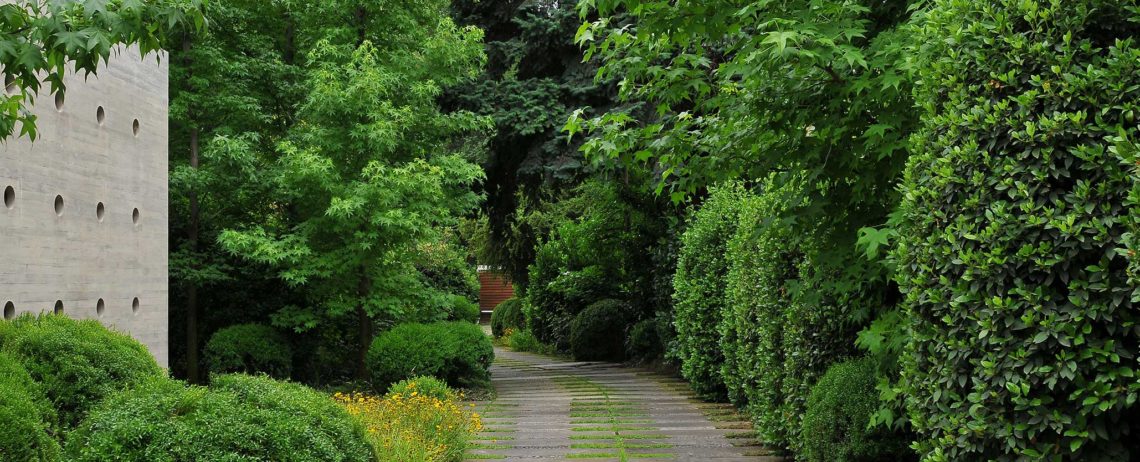 Jardín Viejo